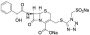 Cefonicid Disodium Salt