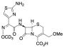 Cefpodoxime-d3 Acid