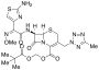 Cefteram Pivoxil