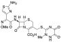 Ceftriaxone