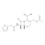 Cephalothin