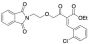 (Z)-2-[(2-Chlorophenyl)methylene]-4-[2-(1,3-dihydro-1,3-dioxo-2H-isoindol-2-yl)ethoxy]-3-oxobutanoic Acid Ethyl Ester