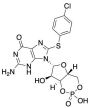 8-PCPT-CGMP