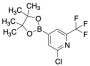 2-Chloro-4-(4,4,5,5-tetramethyl-1,3,2-dioxaborolan-2-yl)-6-(trifluoromethyl)pyridine