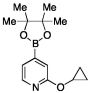 2-Cyclopropyloxypyridine 4-pinacolboronate
