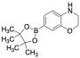 3,4-Dihydro-2H-1,4-benzoxazine-7-boronic Acid Pinacol Ester