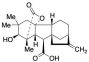 2,2-Dimethyl Gibberellin A4