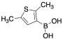 2,5-Dimethylthiophene-3-boronic Acid