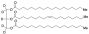 1,3-Distearoyl-2-oleoyl Glycerol-d5