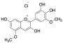 Europinidin Chloride