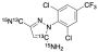 Fipronil Detrifluoromethylsulfinyl-13C2 15N2
