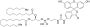 Fluorescein-Dipalmitoylphosphatidylethanolamine