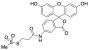2-[(5-Fluoresceinyl)aminocarbonyl]ethyl Methanethiosulfonate