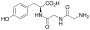 Glycylglycyl-L-tyrosine