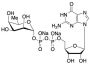 Guanosine 5'-Pyrophosphate Ester 6-Deoxytalose (>90%) Disodium Salt
