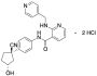 rac cis-3-Hydroxy Apatinib Dihydrochloride