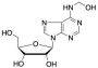 N6-(Hydroxymethyl)adenosine (~90%)