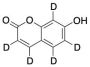 7-Hydroxy Coumarin-d5