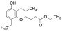 4-[3-Hydroxy-6-ethyl-2-propylphenoxy]butanoic Acid Ethyl Ester