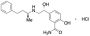 2-Hydroxy-5-[(1R)-1-hydroxy-2-[[(1S)-1-methyl-3-phenylpropyl]amino]ethyl]-benzamide Hydrochloride