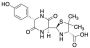 (2R,4S)-2-[(2S,5S)-5-(4-Hydroxyphenyl)-3,6-dioxo-2-piperazinyl]-5,5-dimethyl-4-thiazolidinecarboxylic Acid