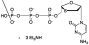 Lamivudine Triphosphate Triethylamine Salt (90%)