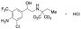 Mapenterol-d6 Hydrochloride
