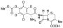 Methoxycarbonyl Cefadroxil-d4