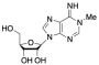 1-Methyl Adenosine