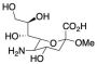 2-O-Methyl-alpha-neuraminic Acid