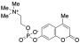 4-Methylumbelliferyl Phosphocholine