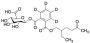 Mono(2-ethyl-5-oxo-hexyl) Phthalate (phenyl-d4) Glucuronide