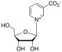 Nicotinic Acid Riboside