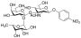 4-Nitrophenyl O-6-Deoxy-alpha-L-galactopyranosyl-(1→2)-O-beta-D-galactopyranosyl-(1→3)-2-(acetylamino)-2-deoxy-beta-D-glucopyranoside