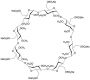Octakis(2,3-di-O-methyl-6-sulfo)-Gamma-cyclodextrin Sodium Salt