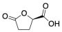 (R)-5-Oxotetrahydrofuran-2-carboxylic Acid