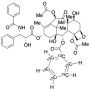 Paclitaxel-13C6