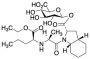 Perindopril Acyl-Beta-D-glucuronide
