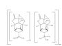 Picrotoxin (1:1 Mixture of Picrotoxinin and Picrotin)