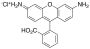 Rhodamine 110