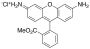 Rhodamine-123