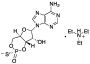 Rp-Cyclic AMPS