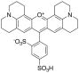 Sulforhodamine 101