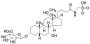 Taurocholic Acid-3-O-β-glucuronide Dipotassium Salt
