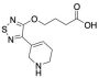 4-[[4-(1,2,5,6-Tetrahydro-3-pyridinyl)-1,2,5-thiadiazol-3-yl]oxy]-butanoic Acid