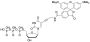 5(6)-Tetramethyl Rhodamine Carboxylic Amide-dUTP