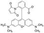 Tetramethylrhodamine-6-maleimide