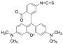 Tetramethylrhodamine Isothiocyanate Isomer R (Technical grade)