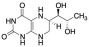 (6R)-5,6,7,8-Tetrahydro-L-biolumazine