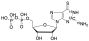 Thioguanosine  Diphosphate-13C,15N2